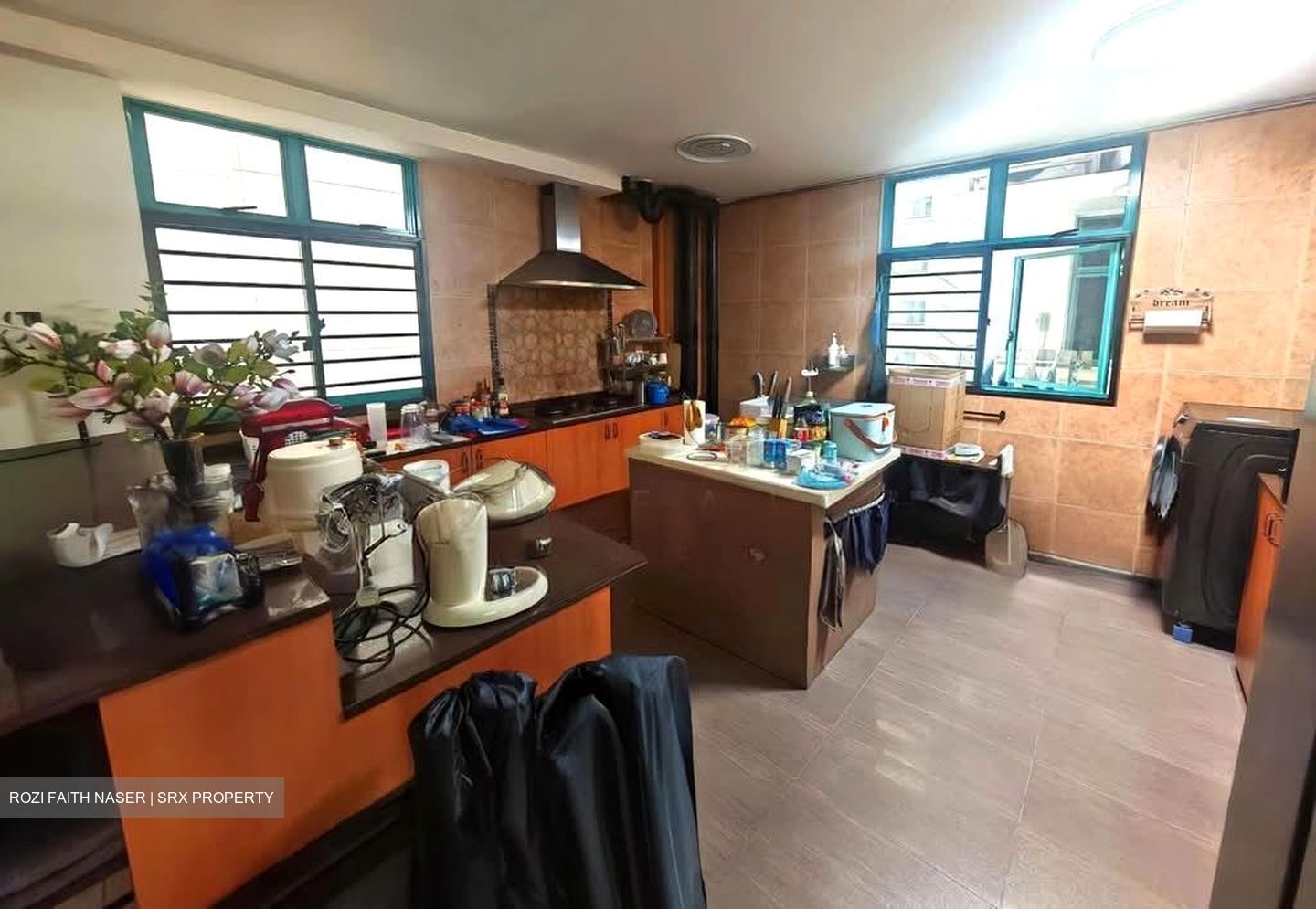 Blk 479 Segar Gardens (Bukit Panjang), HDB Executive #570904001